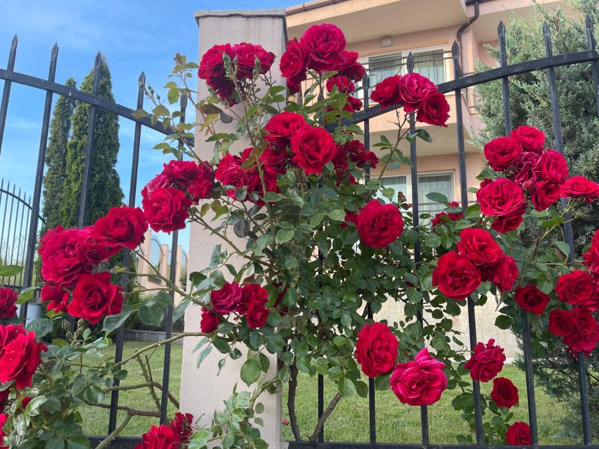 Villa Mia Σωζόπολη Εξωτερικό φωτογραφία